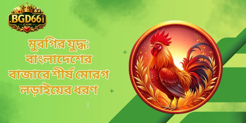 মুরগির যুদ্ধ: বাংলাদেশের বাজারে শীর্ষ মোরগ লড়াইয়ের ধরণ