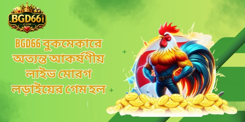BGD66 বুকমেকারে অত্যন্ত আকর্ষণীয় লাইভ মোরগ লড়াইয়ের গেম হল